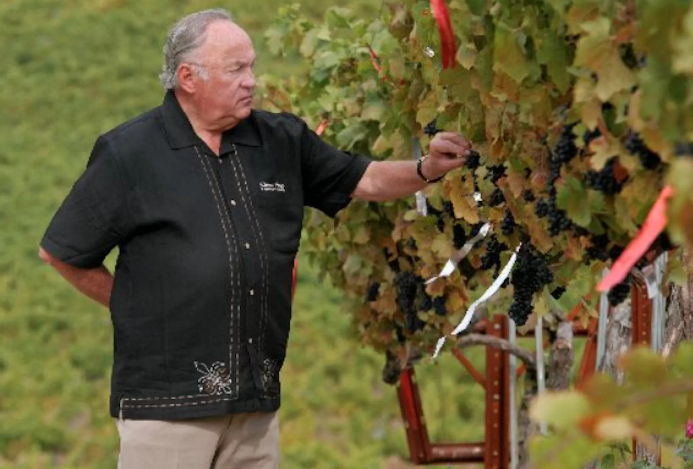 Thomas Fogarty dies; innovative Stanford surgeon, Peninsula winemaker