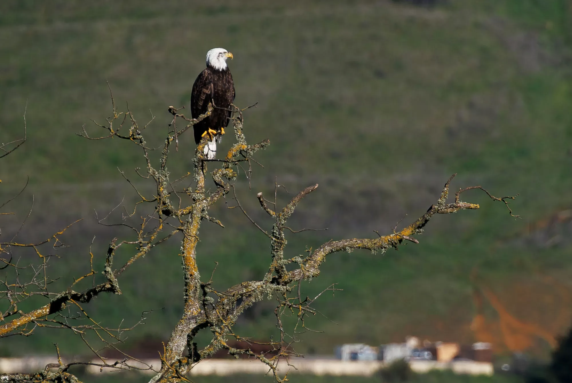 Letters: Sargent Ranch purchase is the result of teamwork