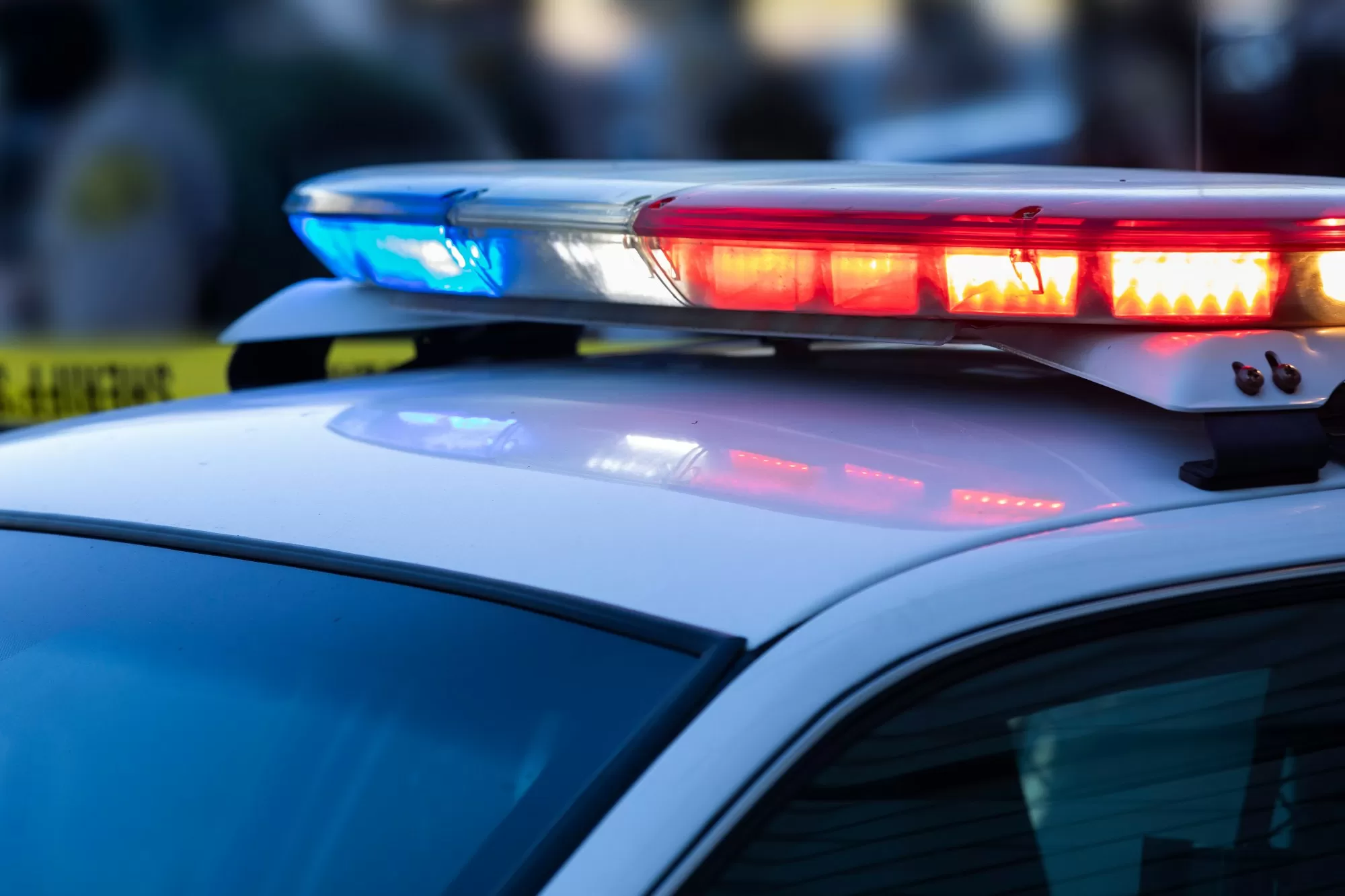 Dog’s remains found at scene of Fremont fire