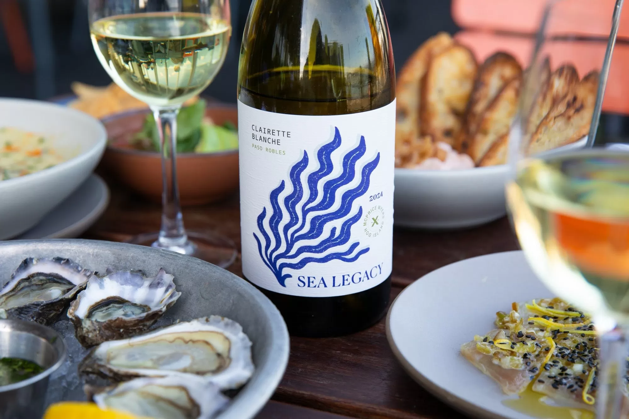 Hog Island Oyster Co. teams up with winery to help save white abalone