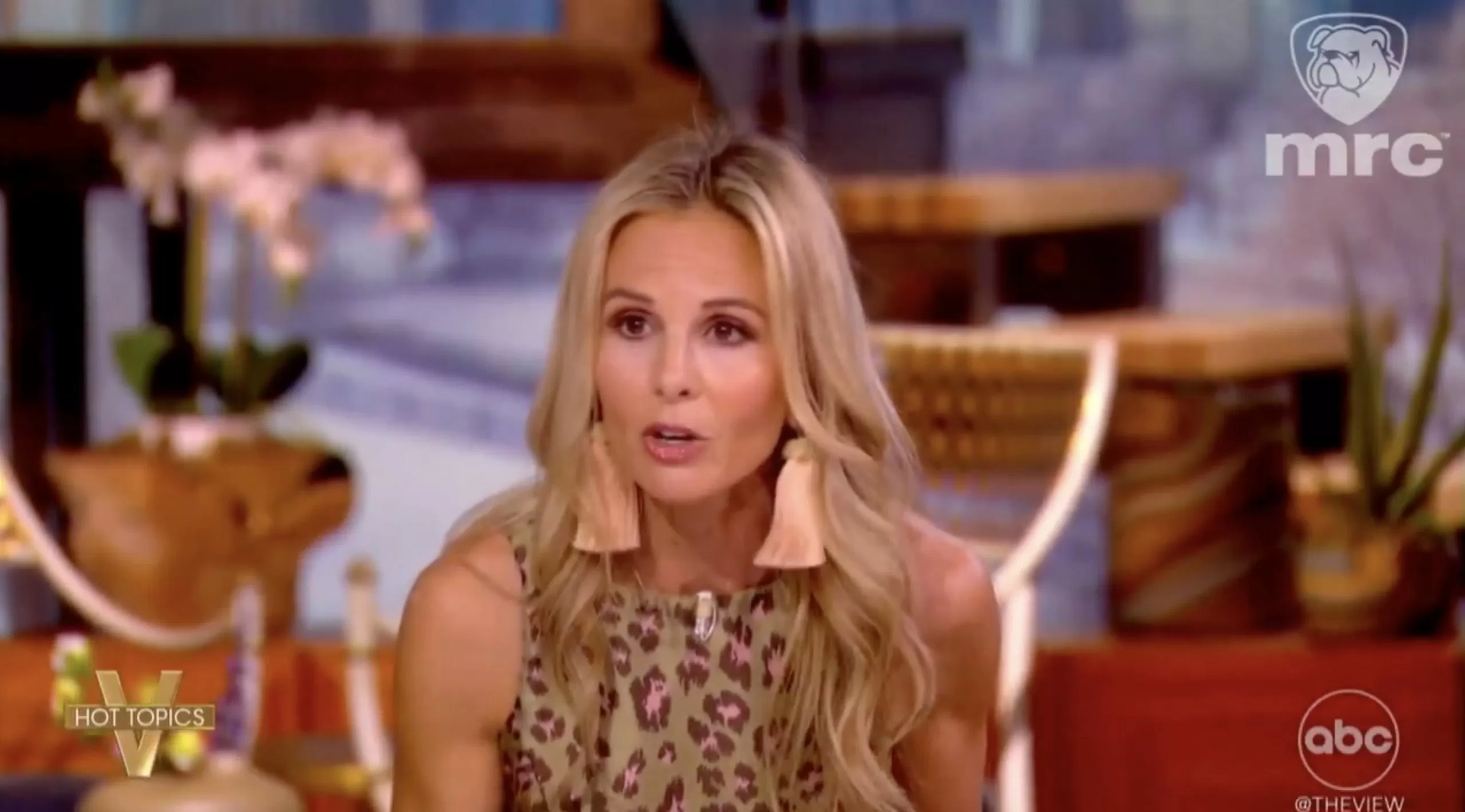 BOOM: Elisabeth Hasselbeck HUMILIATES The View’s Open-Borders Leftists with Cold Hard Facts — Reminds Them Their Own Audience Needed Security Clearance to Enter