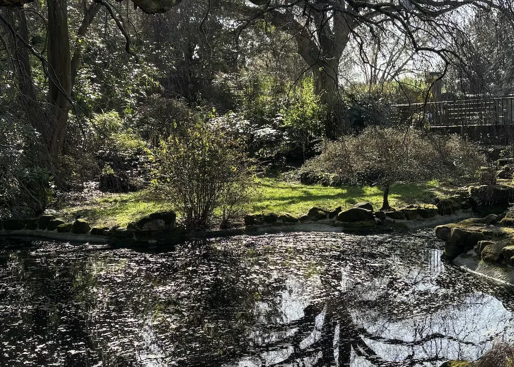 WATCH: Serene green spaces that should be on your Spring and Summer hit list