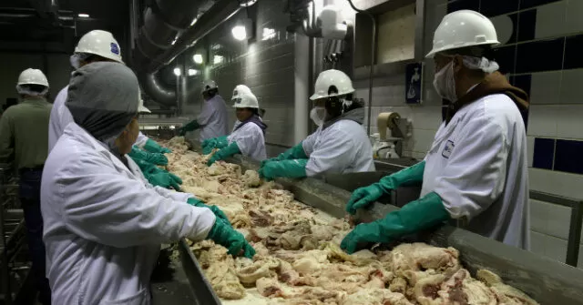 Trump's Migration Rules Force Wage Gains in Meatpacking