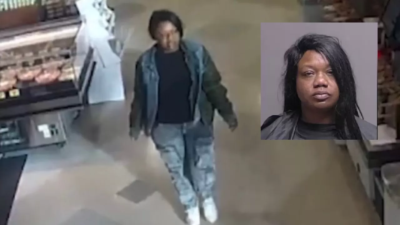 HORROR: Woman with Extensive Criminal Background Finally Caught Two Weeks After Stabbing Pregnant Woman in Charlotte, NC Grocery Store Parking Lot
