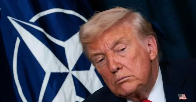 Trump Considering 'Punishing' Disloyal NATO Allies With Troop Reductions: Report
