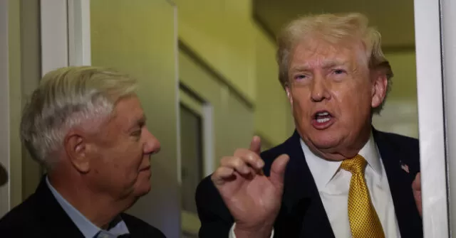 Trump Throws Support Behind Lindsey Graham, Attacks Graham Challenger Mark Lynch