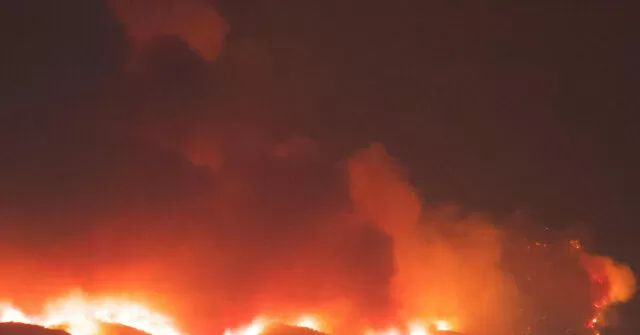 Trump Admin Looking into Insurance Companies' Handling of LA Fire Claims